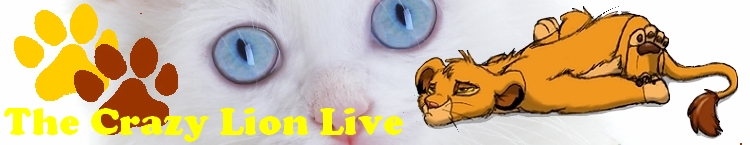 The Crazy Lion Live.jpg